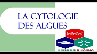 cours biologie végétale partie 3 cytologie des algues [upl. by Chrissy]