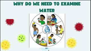 2 Bacteriological Analysis for Coliforms Introduction [upl. by Tega]