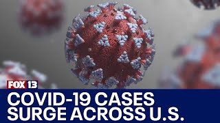 COVID19 infections surging across the country  FOX 13 Seattle [upl. by Elleirda920]