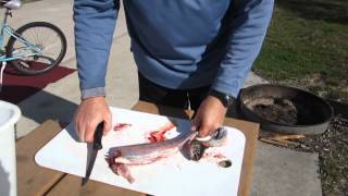 How To Clean And Filet A Trout [upl. by Anawait882]