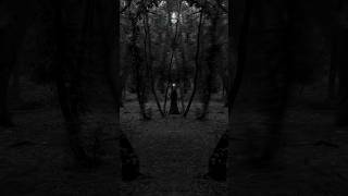 Witch dark horror forest [upl. by Sherrod801]