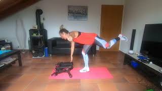 Mini Stepper Workout  IIIPart  Lower Body ABS [upl. by Newcomb]