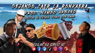 Hector El Father Yomo Don Omar  Dejando Caer Ronkaera Prod César Dj Mambo Urbano Starter [upl. by Eilsil]