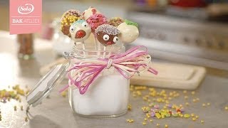 Cakepops Workshop met Wim Ballieu  Solo Bakatelier [upl. by Ahsina]