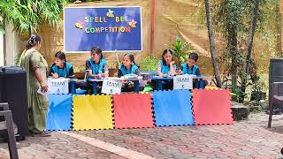 Grade  6  Spell Bee Competition 2024  Credible World School amp Kidzee Pithampur [upl. by Kiehl]