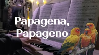 악보 🦜Papagena Papageno The Magic Flute  Wolfgang Amadeus Mozart🦜 피아노 커버 [upl. by Saxen546]