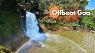 Offbeat Places in Goa  Harvalem Waterfall  Goa Tourist Places  4K [upl. by Alli]