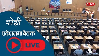 Live 🔴के हुँदैछ कोशी प्रदेशसभा बैठकमा   Koshi pradeshsabha [upl. by Cort]