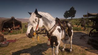 Rdr2 Red Dead Redemption 2 Online  Gameplay  Hunting Legendary Alligator new Horse and more [upl. by Faith822]