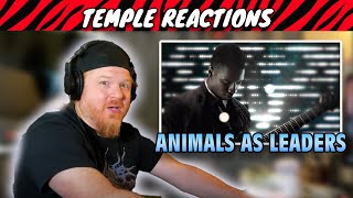 Music Teacher Reaction  Animals as Leaders  CAFO [upl. by Nason]