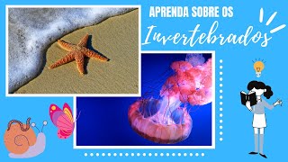 INVERTEBRADOS PRINCIPAIS FILOS CARACTERÍSTICAS E MAIS [upl. by High]