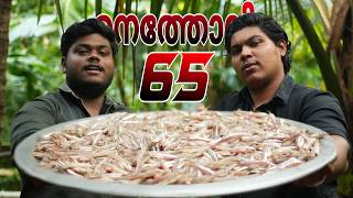 Thousands Of Anchovy Fish 65  Kozhuva Fish Fry  Natholi Traditional Cooking [upl. by Hallerson]