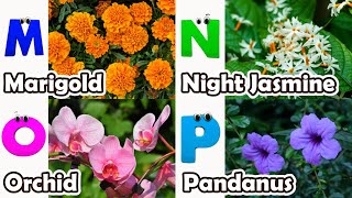 Flowers Alphabet Song  Flowers ABC Song  A to Z Flowers Names  Phonics for Kids [upl. by Leda]