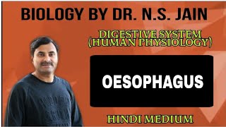 Oesophagus Digestive System Human Physiology  Hindi Medium [upl. by Calvo]