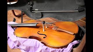 Pavane violin cello and piano [upl. by Krischer]