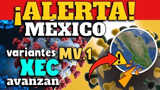 ALERTA EN MÉXICO  VARIANTES MV1 Y XEC AVANZAN [upl. by Hcirteid96]