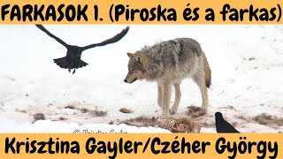 FARKASOK 1 rész  quotPiroska és a Farkasquot  beszélgetés Krisztina Gaylerrel és Czéher Györggyel [upl. by Esinned]