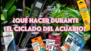 ¿Qué hacer durante el ciclado de un acuario [upl. by Aramak]