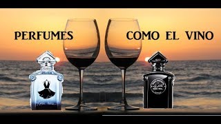 PERFUMES ¿SON COMO EL VINO ¿LOS PERFUMES CADUCAN ♥ ISA RAMÍREZ [upl. by Nyliak]