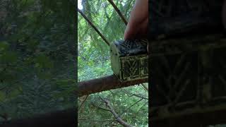 Searching for Treasure in the Forest Geocaching Adventure Leads to Hidden CHEST geocaching [upl. by Readus45]