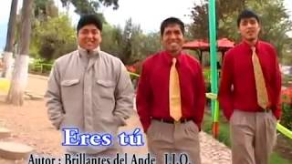 Los Super Brillantes del ande  Eres Tu  No Importa Video Oficial Tania Producciones ✓ [upl. by Ardua]