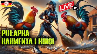 🔥HAHMENT zgubił JAJA w HAMBURGU PUŁAPKA HAHMENTA i KINGI  Liwka POZAMIATAŁA St Pauli☠️  LIVE 🔴 [upl. by Alviani855]