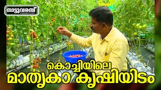 കൊച്ചിയിലെ മാതൃകാ കൃഷിയിടം  CHEF GARDEN  HYDROPONICS  NATTUVARAMBU  JANAM TV [upl. by Charline611]