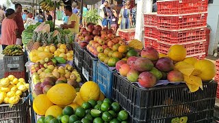 vem vê Arapiracaa feira das frutas e verduras [upl. by Ailbert]