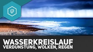 Der Wasserkreislauf  Verdunstung Wolken und Regen  Klima amp Wetter Grundlagen 4 [upl. by Mike]