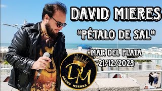 David Mieres quotPétalo De Salquot Mar Del Plata 21122023 [upl. by Towroy857]