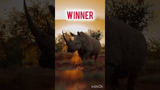 Rhino vs Hippo comparison shorts animals viralvideo [upl. by Aip]