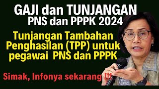 TPP Tambahan Penghasilan Pegawai PNS dan PPPK  Gaji dan Tunjangan PNS PPPK [upl. by Manolo]