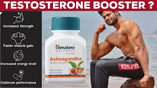 DOES ASHWAGANDHA BOOST TESTOSTERONE AND BUILDS MUSCLE  100  RESEARCH PROVEN INFO [upl. by Aydne]