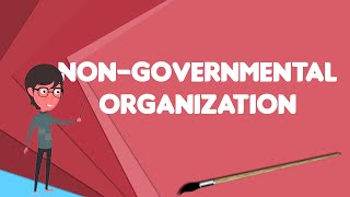 What is Nongovernmental organization Explain Nongovernmental organization [upl. by Atyekram785]