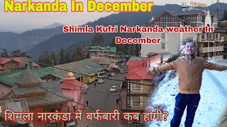 Narkanda In December  Shimla Kufri Narkanda December Weather Update  Legends On Road 🛣️ [upl. by Llerat]