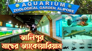 Alipore Zoo Aquarium  কলকাতা একুয়ারিয়াম  Alipur Zoo Fish Aquarium House Kolkata aquarium [upl. by Dustie617]