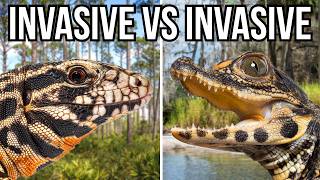 8 Invasive Species That Battle And Prey On Other Invaders [upl. by Elleiram]