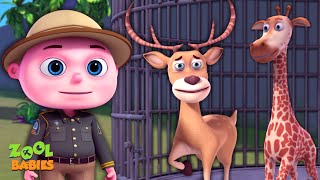 Missing Zoo Animals Episode  Cartoon Animation For Children  Videogyan Kids Shows  Zool Babies [upl. by Marta]