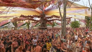 Darwish Live  OZORA festival 2016 [upl. by Cyrie]