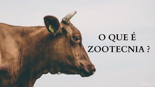 O que é ZOOTECNIA [upl. by Rairb680]