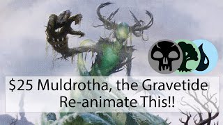 EDH Muldrotha the Gravetide 25 Deck Tech  25 EDH  EDH  Budget Commander  Broken EDH [upl. by Renat]