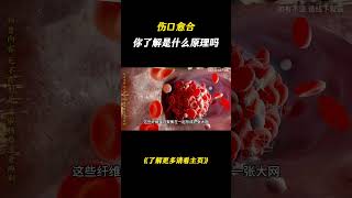 当你受伤后，身体是怎样替你愈合伤口的？科普一下 涨知识 伤口愈合 [upl. by Robers299]