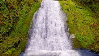 Sounds for Sleeping Waterfall White Noise 10 Hours [upl. by Aver722]