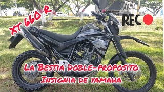 Yamaha XT 660 R  Todo lo que debes Saber [upl. by Dimitri]