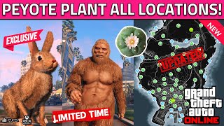 NEW Peyote Plant Locations in GTA 5 Online How To Turn Into AnimalBigfoot All Peyote Plant 2023 [upl. by Atnoved329]