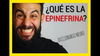 ¿Qué es la EPINEFRINA [upl. by Lekar]