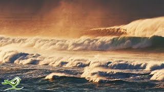 Let Your Thoughts Wander with Ocean Waves Calm Piano Music and Beautiful Nature [upl. by Oivalf]