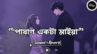 Pashan Akta Maiya slowedreverb পাষান একটা মাইয়া SlowedReverb TikTok Viral Bangla Lofi Song 2023 [upl. by Nuahsar]