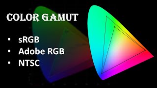 Choosing Color Gamut For Laptops  sRGB Adobe RGB and NTSC  Explained in Hindi [upl. by Etsyrk]