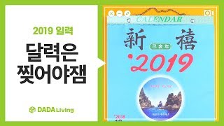 다다리빙 오늘만 보고 산다 2019 일력 [upl. by Millie]